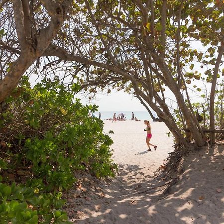 Castle Beach: Rumba Suite Miami Beach Eksteriør billede