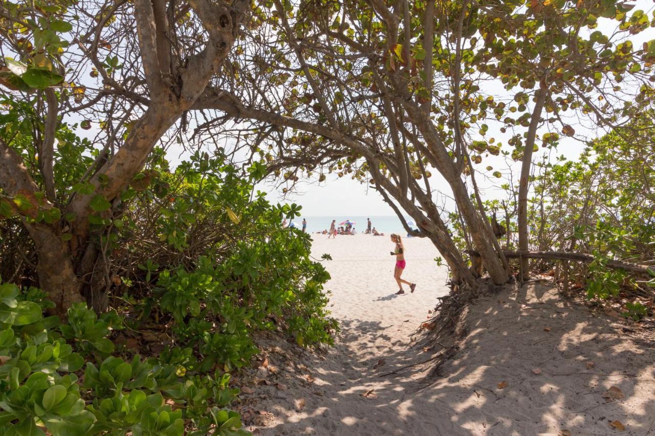 Castle Beach: Rumba Suite Miami Beach Eksteriør billede